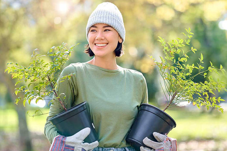 Image showcasing Green Jobs: Careers in Sustainability and Environmental Protection ...